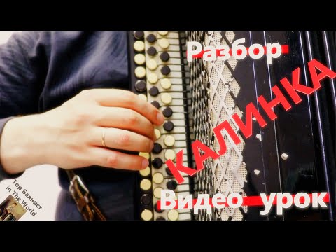 Видео: [Разбор] Калинка-Малинка на Баяне / Видеоурок / Как играть песню Калинка на Баяне