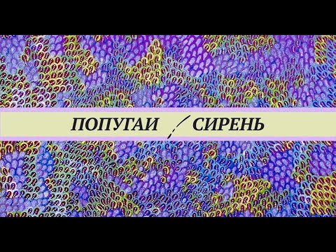 Видео: Сирень для попугаев. Цветы, семена, листва, кора. Сколько давать. Опасна ли сирень для птиц.