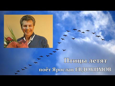 Видео: Ярослав Евдокимов - Птицы летят