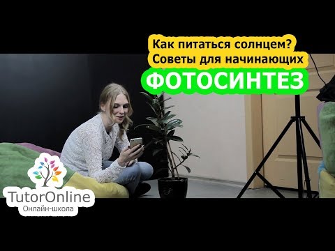 Видео: Биология | Фотосинтез. Что это и с чем это едят?