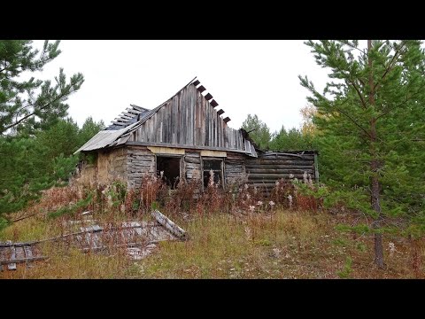 Видео: Сплав по реке Печора, ч3. Заброшенная в тайге деревня Еджыдъяг и ИТК. Одиночный поход. Покинутый мир