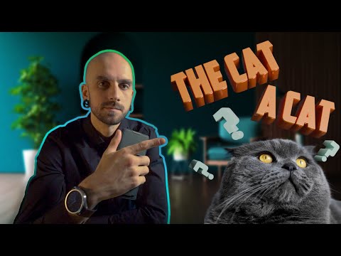 Видео: Разберитесь с английскими артиклями раз и навсегда.