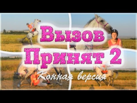 Видео: ВЫЗОВ ПРИНЯТ конная версия by Алиса и Медея | Свечка задом наперед!?