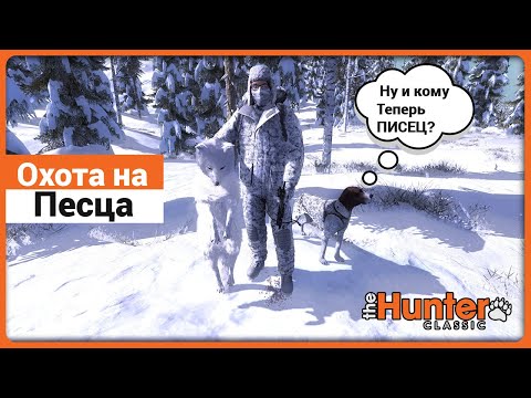 Видео: Песец в theHunter Classic !