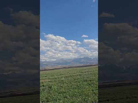 Видео: Моя необъятная страна