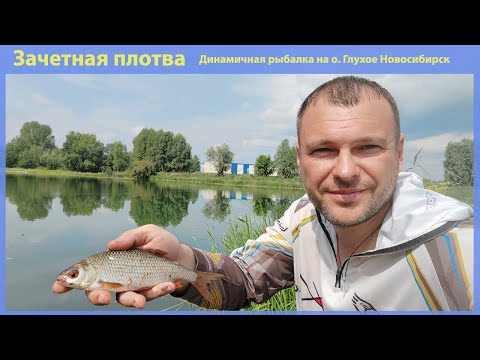 Видео: Динамичная рыбалка на озере "Глухое". Рыбалка в Новосибирске!