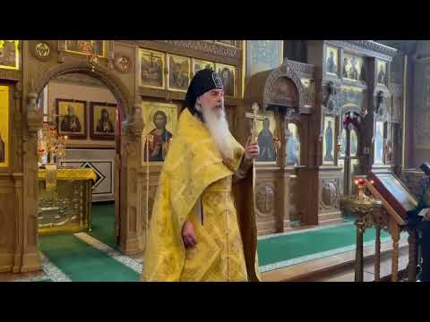 Видео: Куда бежать. Схиигумен Гавриил.