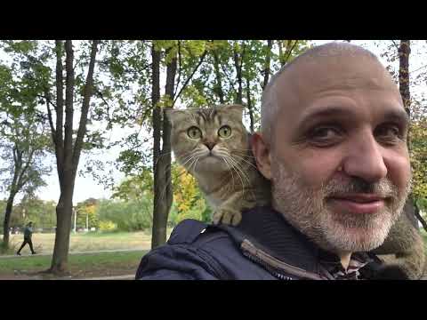 Видео: Шанелька отдыхает от ремонта 😊