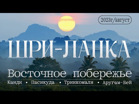 Видео: Шри-Ланка летом! Пляжи и дикая природа | Восточное побережье | Отдых в летний сезон | Аругам Бэй