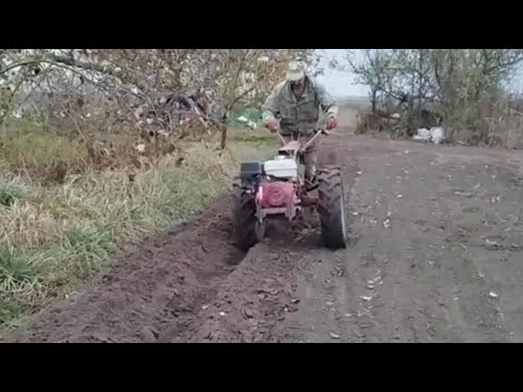 Видео: ПАШЕМ МОТОБЛОКОМ МТЗ🚜ПОРА САДИТЬ ЧЕСНОК