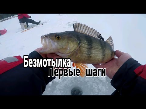 Видео: Ловля на мормышку. Первые шаги в безмотылке.Ловля окуня.