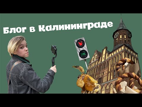 Видео: Ищем янтарь, жуем крендели| блог в Калининграде