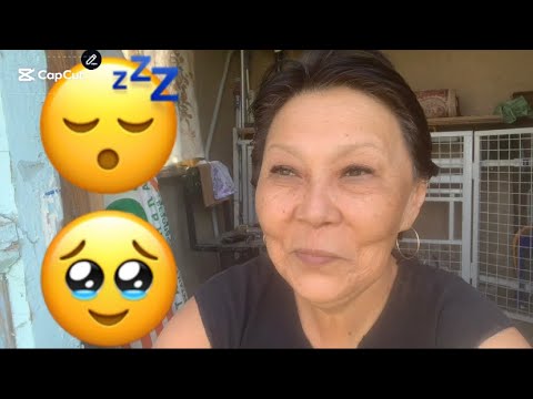 Видео: 🧷 566. Сны наяву. 🫣