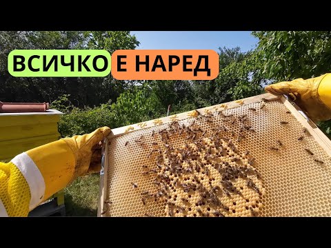 Видео: СЪМНЕНИЯТА МИ СЕ ОКАЗАХА НАПРАЗНИ