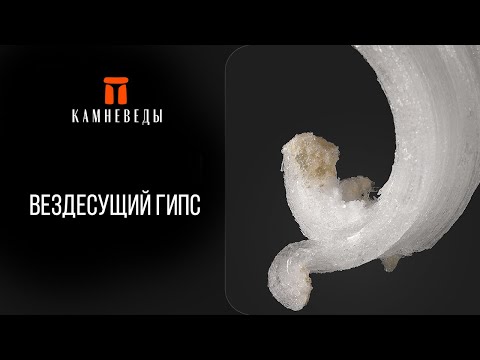 Видео: Вездесущий гипс