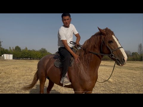 Видео: 2 жыл курукта Тел: +996-778-495-424 