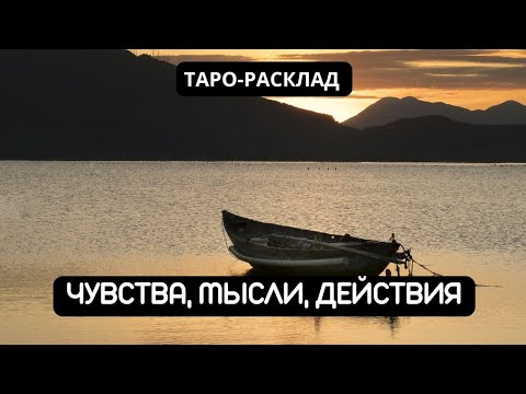 Видео: ЧУВСТВА, МЫСЛИ, ДЕЙСТВИЯ МУЖЧИНЫ #tarot #tarotreading #video 