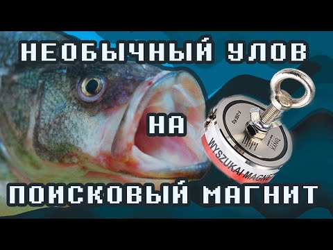 Видео: ТАКОГО УЛОВА на поисковый магнит 🧲  никто не ожидал - Рыбалка от Onyx Magnet