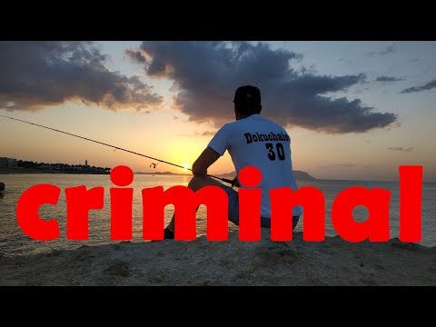 Видео: Рыбалка в Египте ЗАПРЕЩЕНА!!! Часть 1