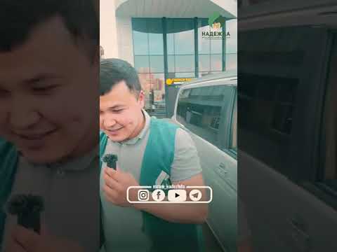 Видео: Жалган сүйлөйсүзбү?