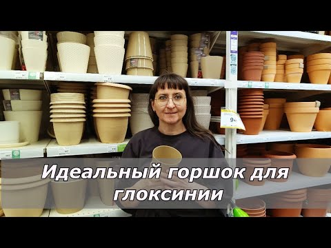 Видео: Лучший горшок для глоксинии