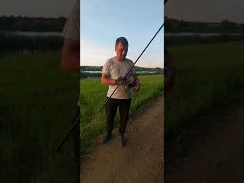 Видео: Все о ловле толстолоба.
