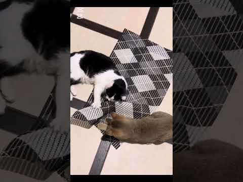 Видео: Любимый дом, заряжаюсь энергией и позитивом 