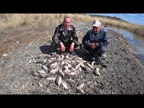 Видео: ОТЛИЧНОЕ ОТКРЫТИЕ СЕЗОНА! РЫБАЛКА МЕЧТЫ на озере Уелги! Рыбалка на Карася! Отчёт от 07.05.2022 года