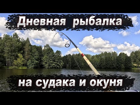 Видео: Дневная рыбалка на судака и окуня