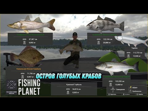 Видео: 🐟The Fisherman - Fishing Planet🎣Тёмный Горбыль, Тарпон, Южная Камбала, Полосатый Лаврак #enister96