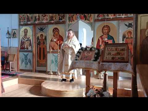 Видео: Наинская вдовица. О том, что Бог лучше нас знает, в чем мы нуждаемся.
