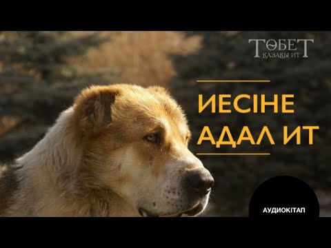 Видео: ЖАҚСЫ ИТ. Аудиокітап
