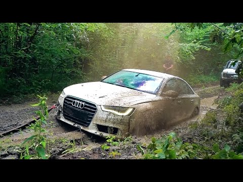Видео: ЧТО МОЖЕТ AUDI A6  против НИВЫ на БЕЗДОРОЖЬЕ?