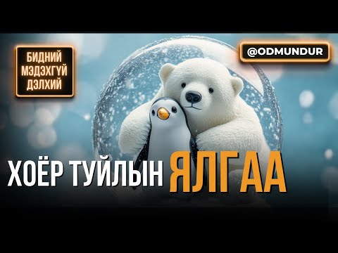 Видео: Хоёр туйлын ялгаа - БИДНИЙ МЭДЭХГҮЙ ДЭЛХИЙ