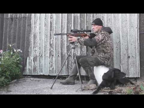 Видео: Стрельба по крысам при дневном свете с помощью HW97K Springer и моего лучшего друга