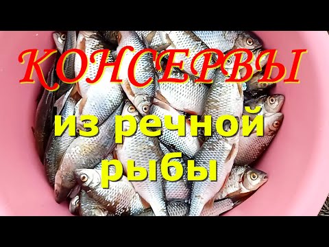 Видео: КОНСЕРВЫ ИЗ РЕЧНОЙ РЫБЫ. ШПРОТЫ ИЗ ПЛОТВЫ В СКОРОВАРКЕ.