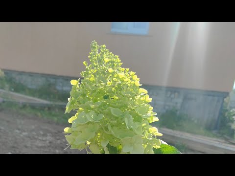 Видео: Прощальное видео