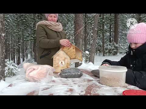 Видео: Сделали кормушки для птиц.