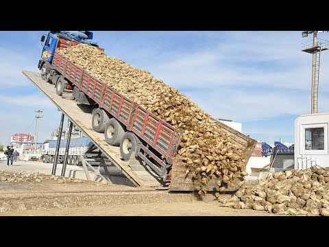 Видео: Чрезвычайно опасные навыки оператора современного самосвала, самая быстрая укладка асфальта