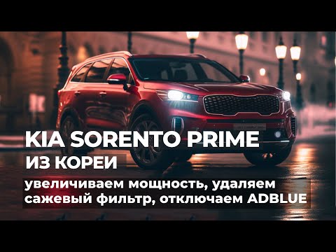 Видео: Удаление сажевого фильтра, отключение Adblue, чип-тюнинг Kia Sorento Prime, Santa Fe, Palisade