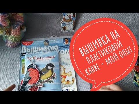 Видео: ВЫШИВКА НА ПЛАСТИКОВОЙ КАНВЕ- МОЙ ОПЫТ И ВПЕЧАТЛЕНИЯ