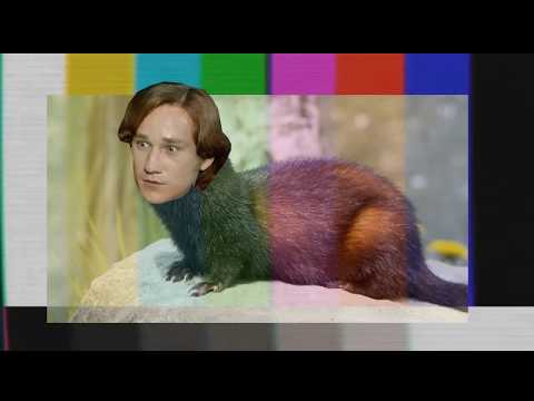 Видео: РУСЛИТ (crack#3)