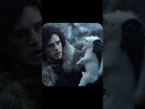 Видео: волчата лютоволк игра престолов #шортс #фильмыкоторыестоитпосмотреть #кино