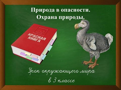 Видео: Природа в опасности. Урок окружающего мира в 3 классе