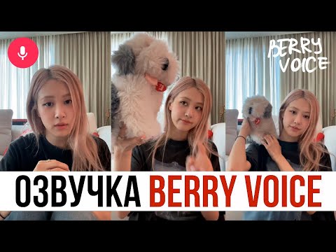 Видео: [RU ОЗВУЧКА] ТРАНСЛЯЦИЯ РОЗЭ | 7th ANNIVERSARY | 230808