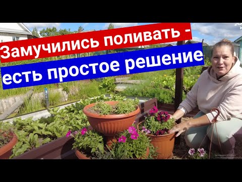 Видео: Как реже поливать цветы в кашпо и горшках. Три способа для занятых и отдыхающих садоводов