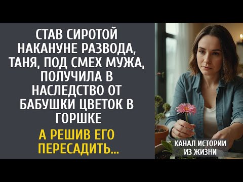 Видео: Став сиротой накануне развода, Таня, под смех мужа, получила в наследство от бабушки цветок в горшке