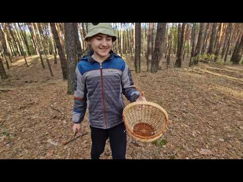 Видео: за пол часа тут не справиться!