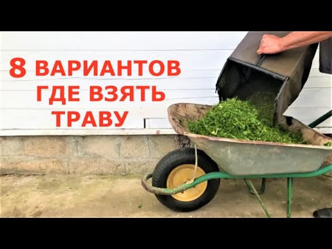 Видео: Где взять траву для мульчи, если её нет на участке?