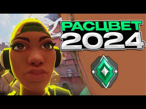 Видео: ЭТО РАСЦВЕТЫ в 2024 году... (ВАЛОРАНТ)